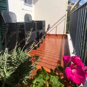 Sunshine Gaula